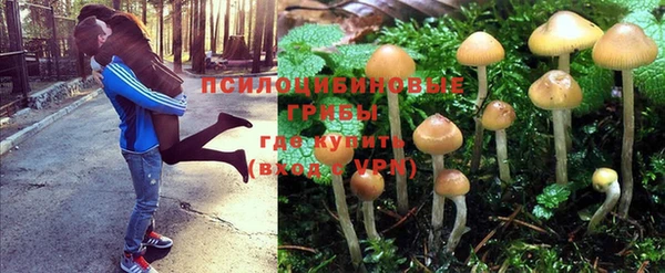прущая мука Арсеньев