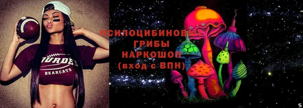 прущая мука Арсеньев
