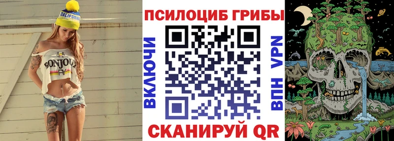 Купить где Горняк Псилоцибиновые грибы Magic Shrooms